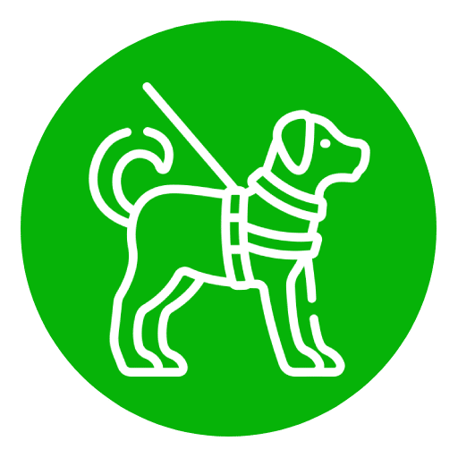 Pattes partout | Accueil Pattes partout | Accueil