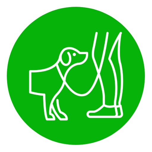 Pattes partout | Accueil Pattes partout | Accueil