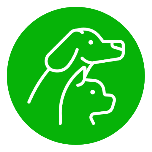 Pattes partout | Accueil Pattes partout | Accueil