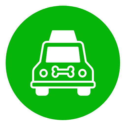 Pattes partout | Accueil Pattes partout | Accueil