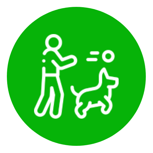 Pattes partout | Dog walking