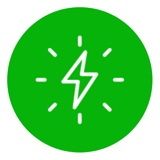 Pattes partout | Dog walking