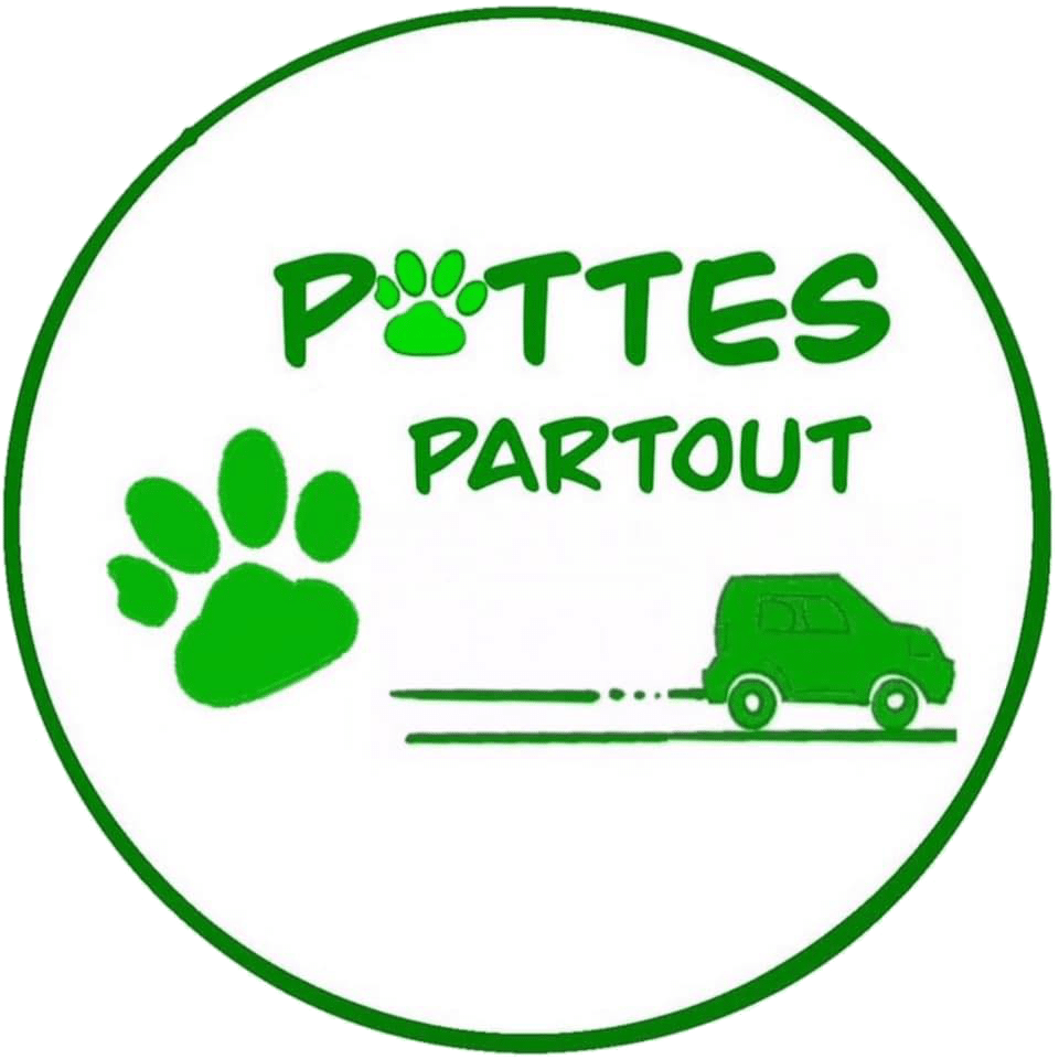 Pattes partout | Accueil