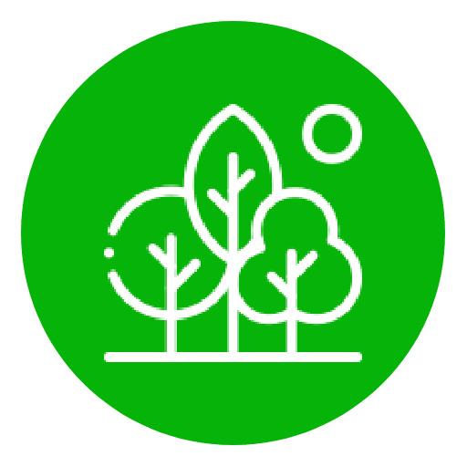 Pattes partout | Dog walking