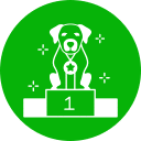 Pattes partout | Garde d&rsquo;animaux