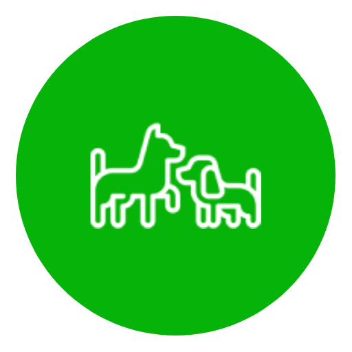 Pattes partout | Dog walking